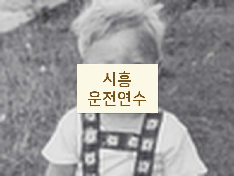 시흥운전연수 후기