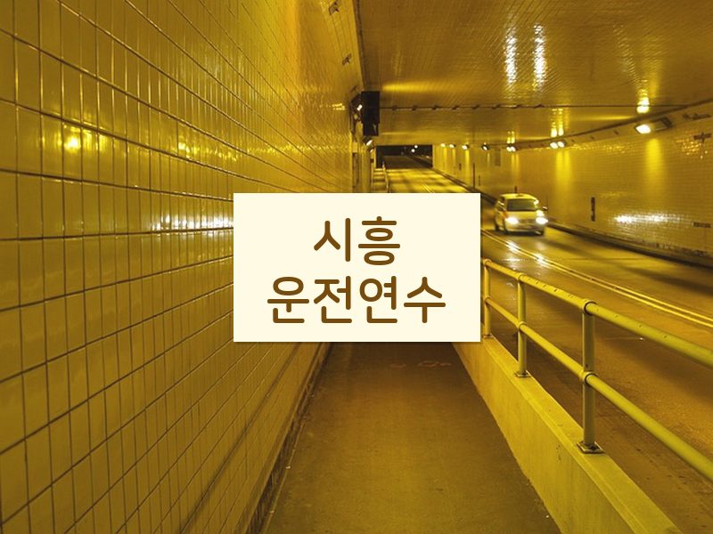 시흥운전연수 후기