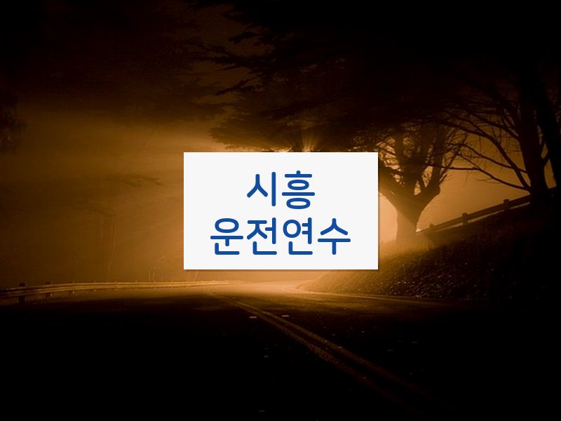 시흥운전연수 후기