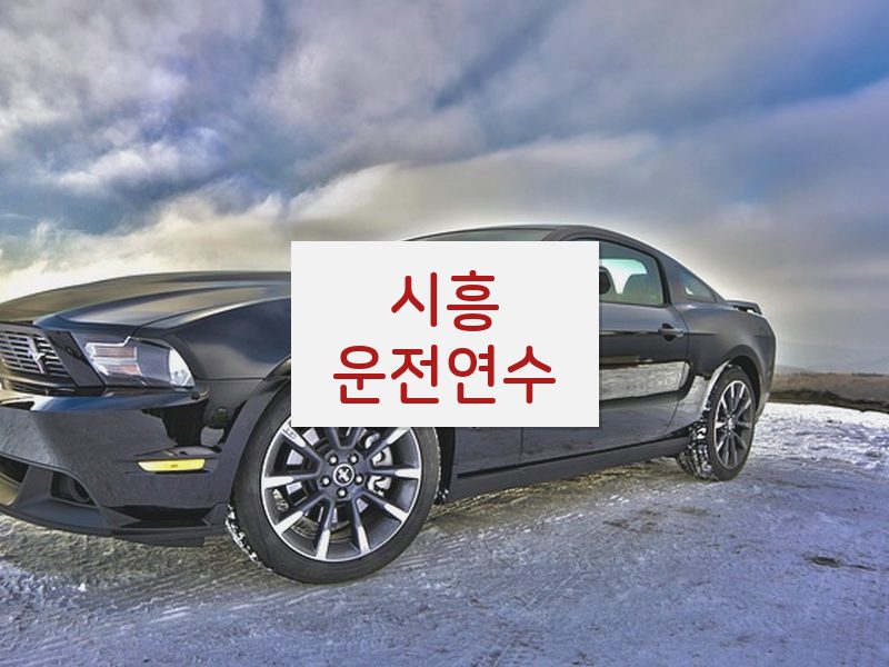 시흥운전연수 후기