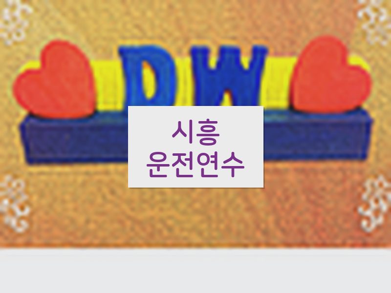 시흥운전연수 후기
