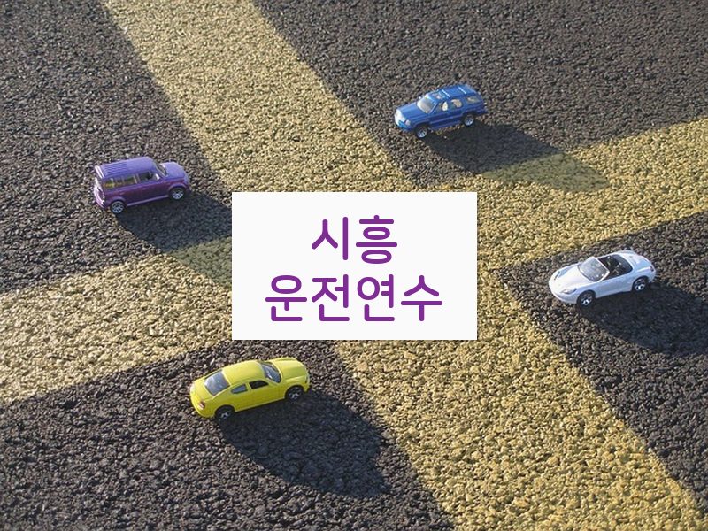 시흥운전연수 후기