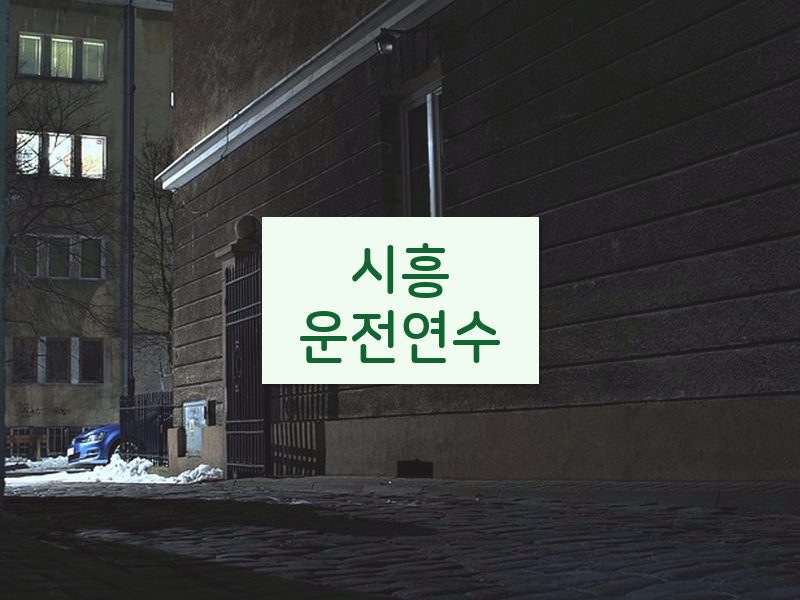 시흥운전연수 후기