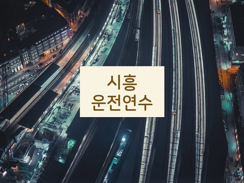 시흥운전연수 후기