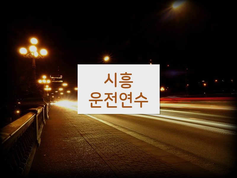 시흥운전연수 후기