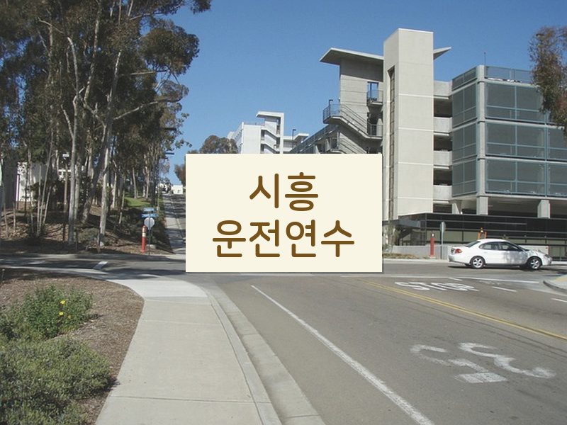 시흥운전연수 후기