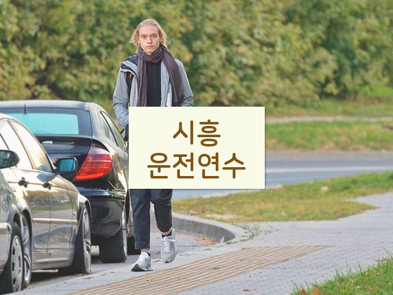 시흥운전연수 후기