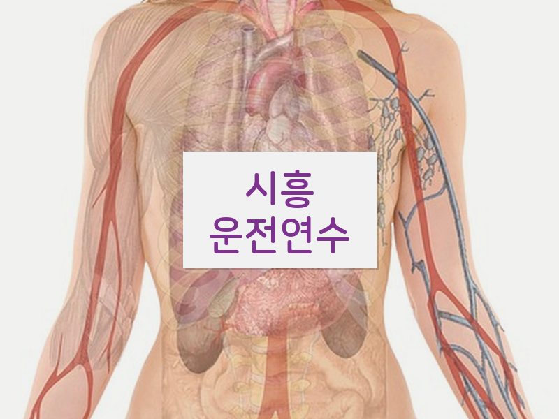시흥운전연수 후기