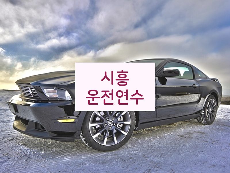 시흥운전연수 후기
