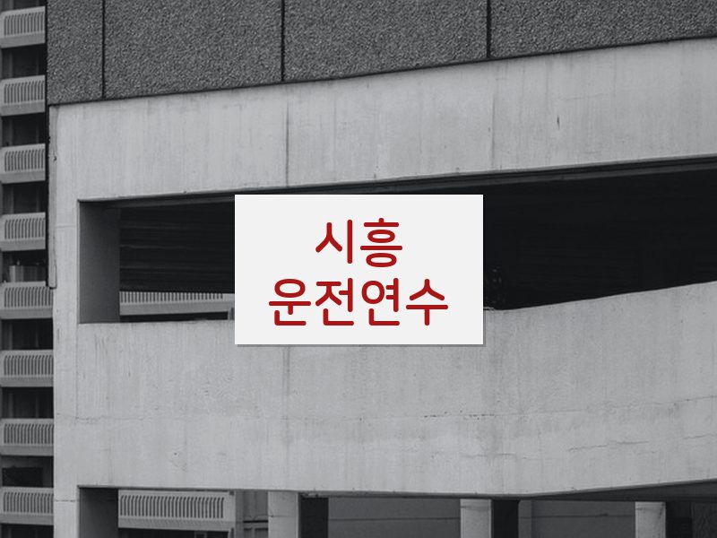 시흥운전연수 후기