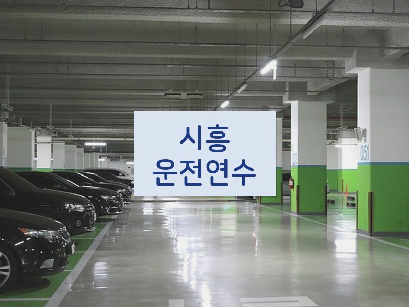 시흥운전연수 후기