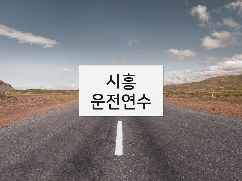 시흥운전연수 후기