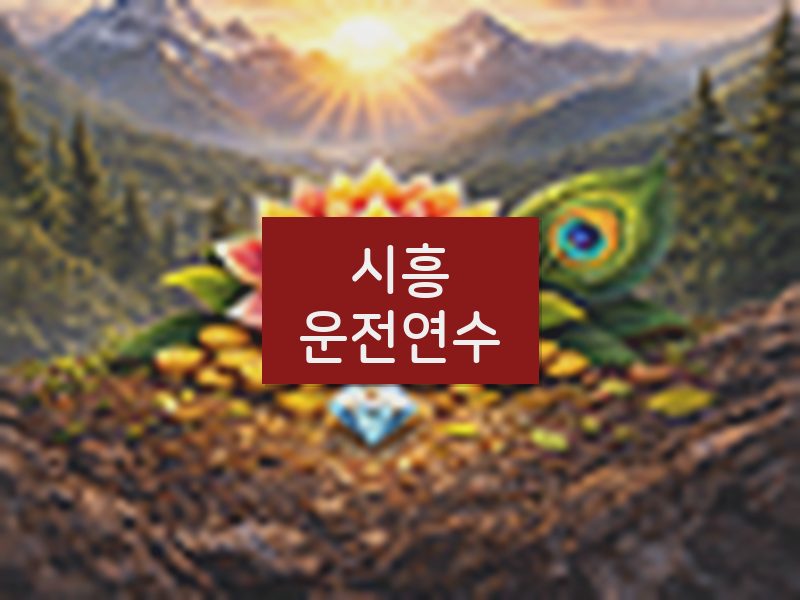 시흥운전연수 후기