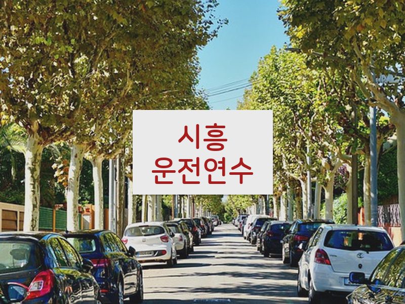 시흥운전연수 후기