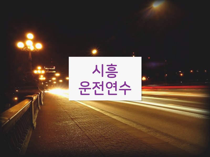 시흥운전연수 후기