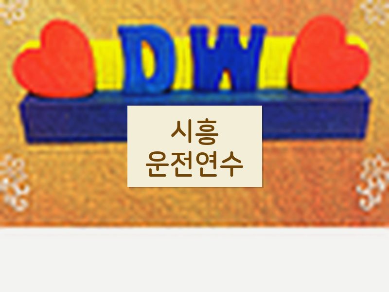 시흥운전연수 후기