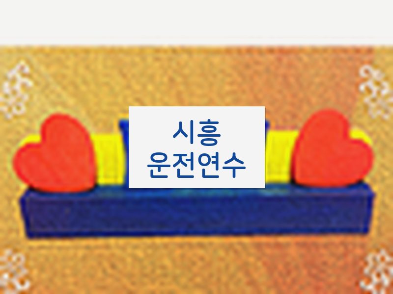 시흥운전연수 후기