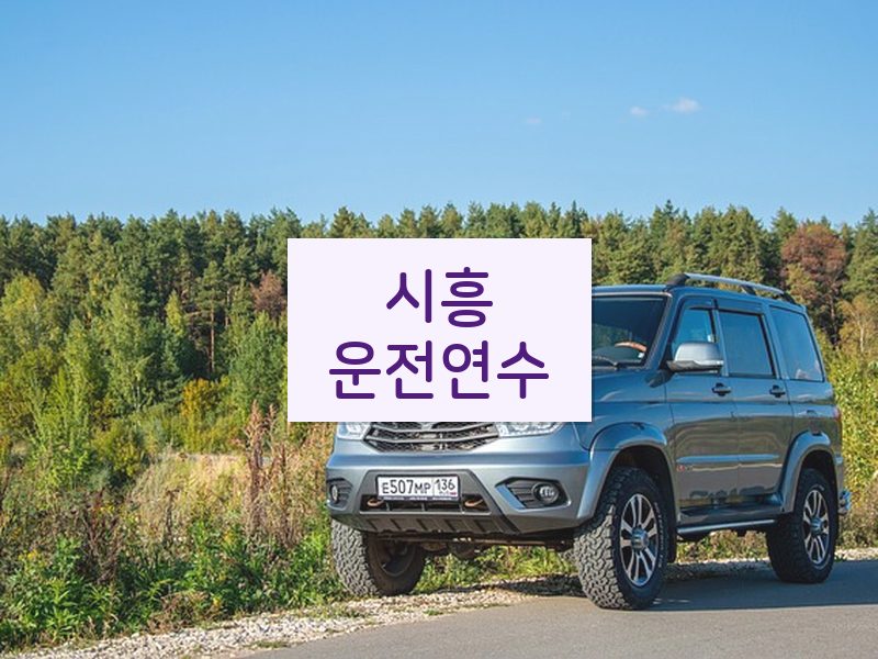 시흥운전연수 후기