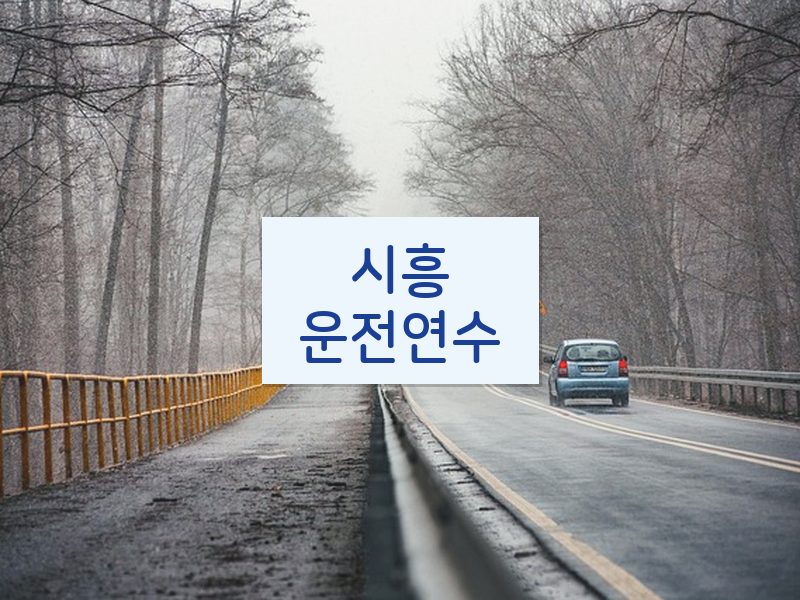 시흥운전연수 후기