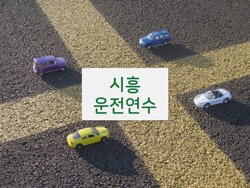 시흥운전연수 후기