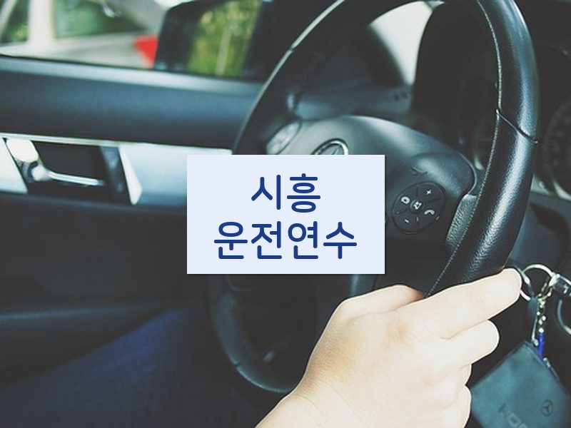 시흥운전연수 후기