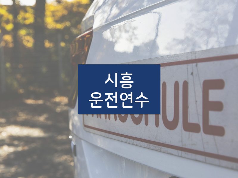 시흥운전연수 후기