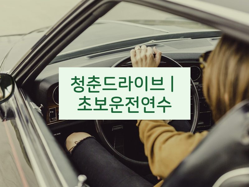 청춘드라이브 | 초보운전연수 후기