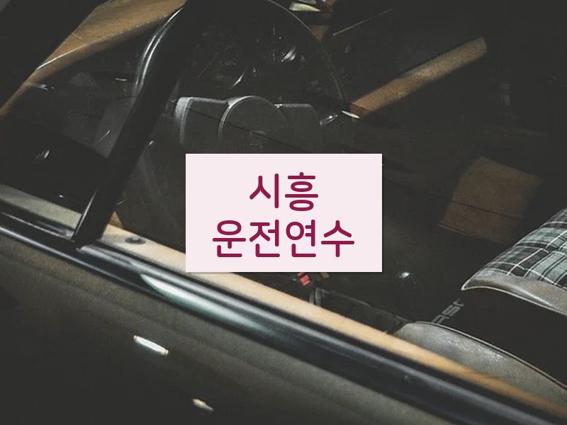 시흥운전연수 후기