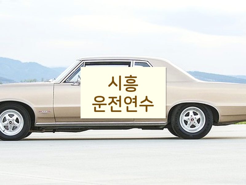 시흥운전연수 후기