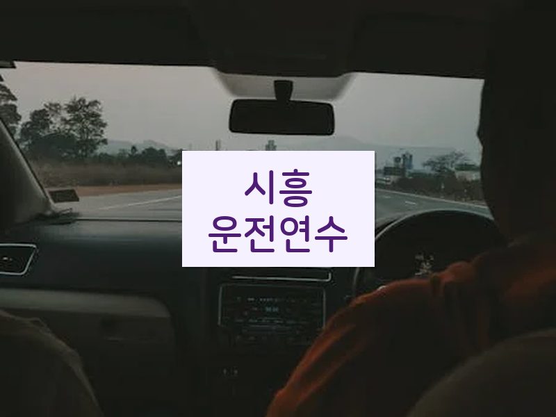 시흥운전연수 후기