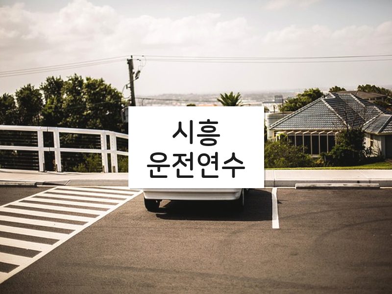 시흥운전연수 후기