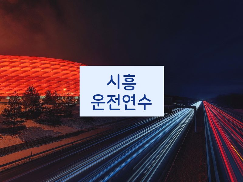 시흥운전연수 후기