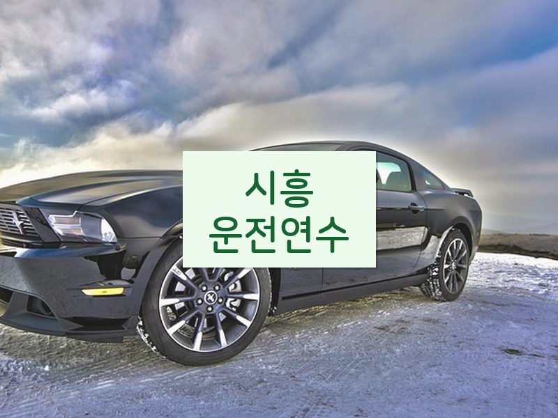 시흥운전연수 후기
