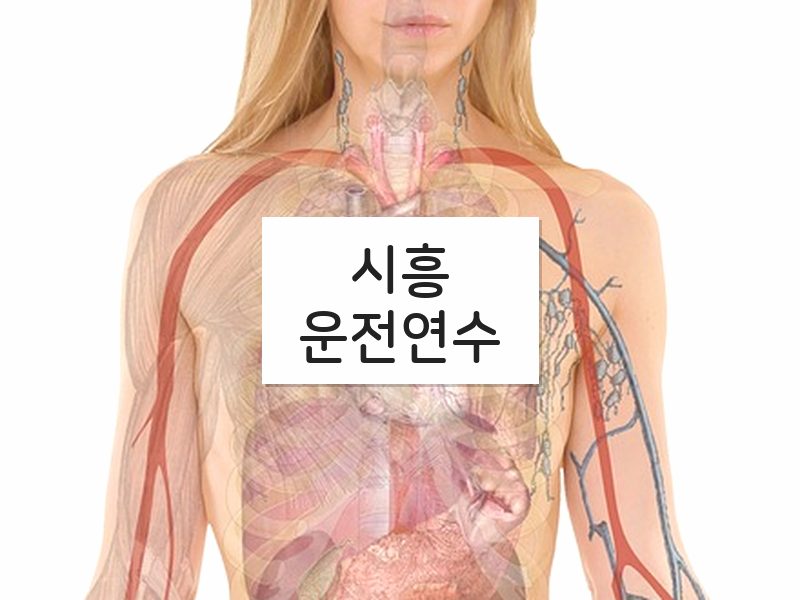 시흥운전연수 후기
