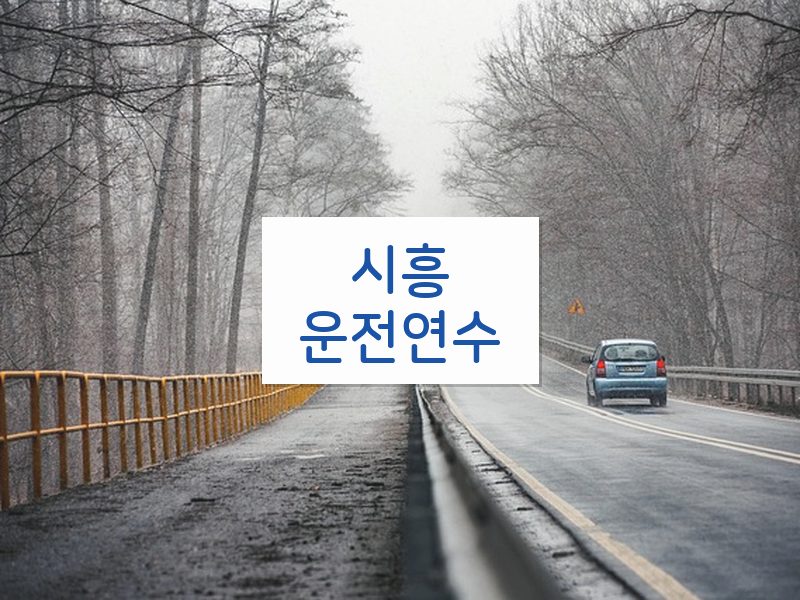 시흥운전연수 후기