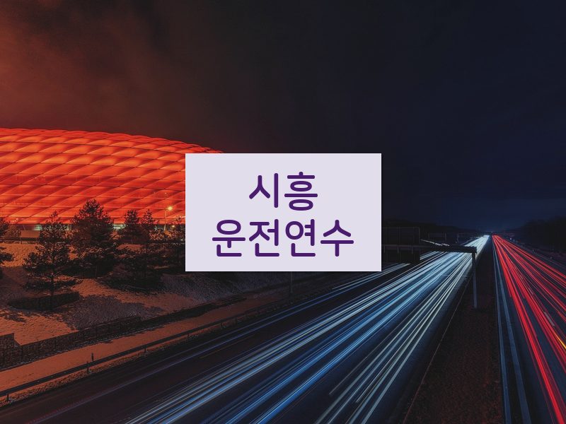 시흥운전연수 후기