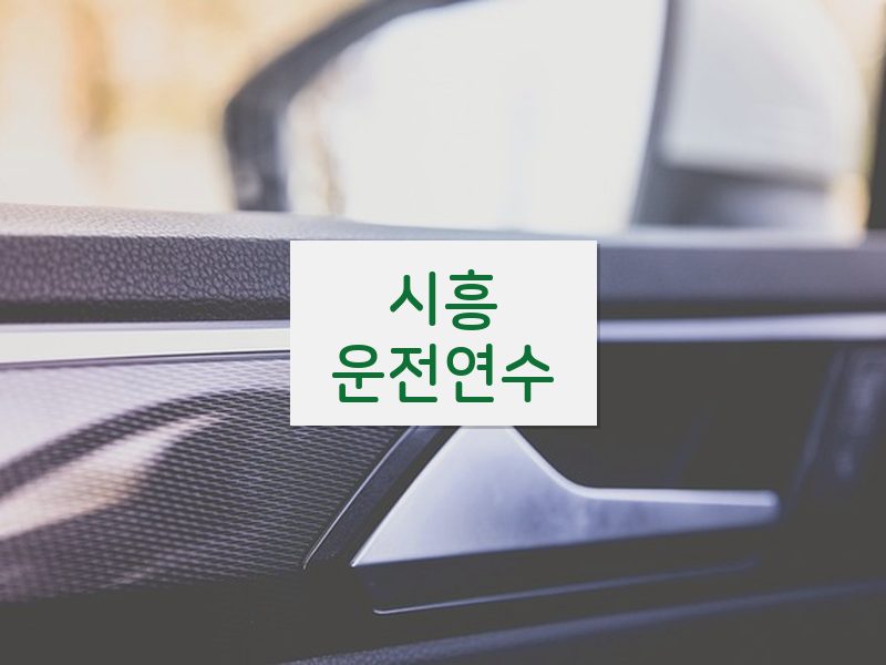 시흥운전연수 후기