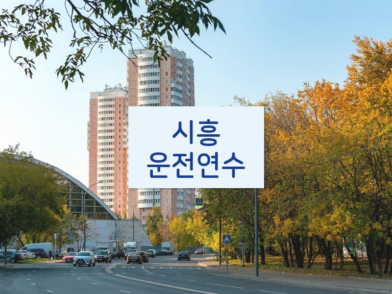 시흥운전연수 후기