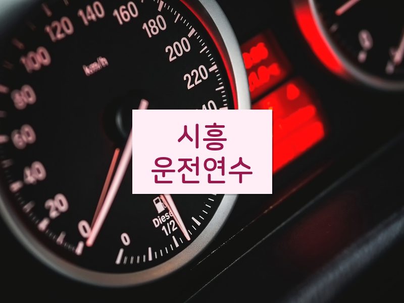 시흥운전연수 후기
