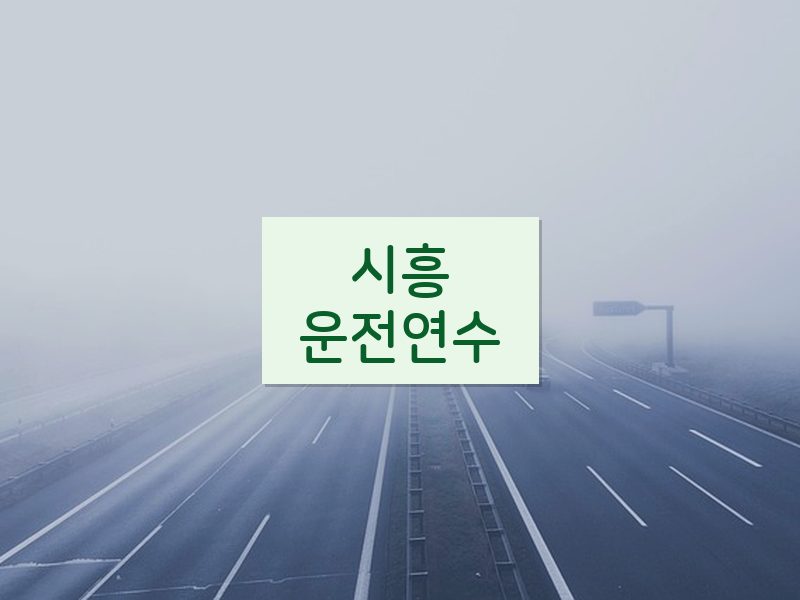 시흥운전연수 후기
