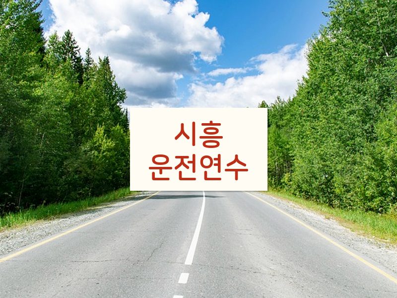 시흥운전연수 후기