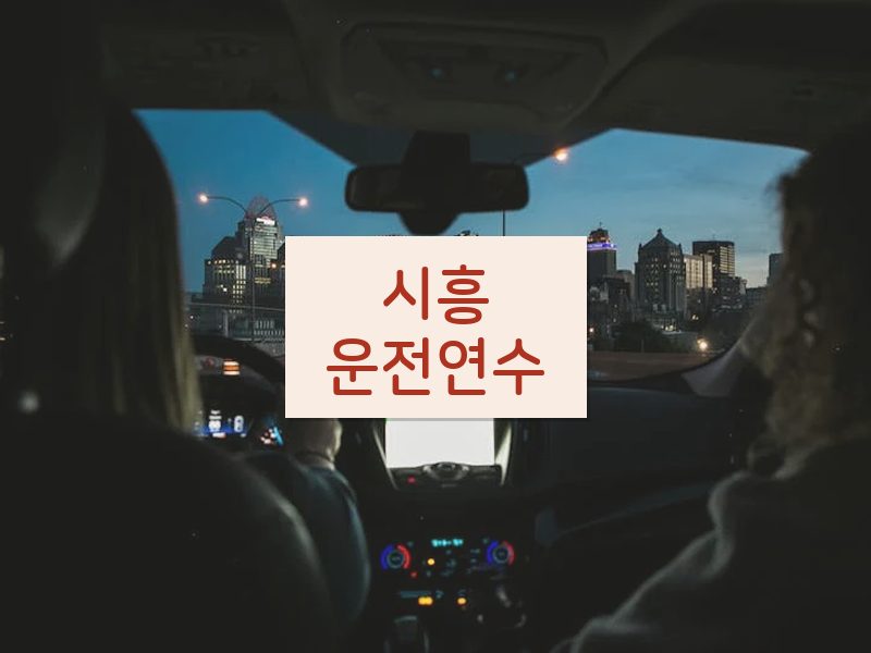 시흥운전연수 후기