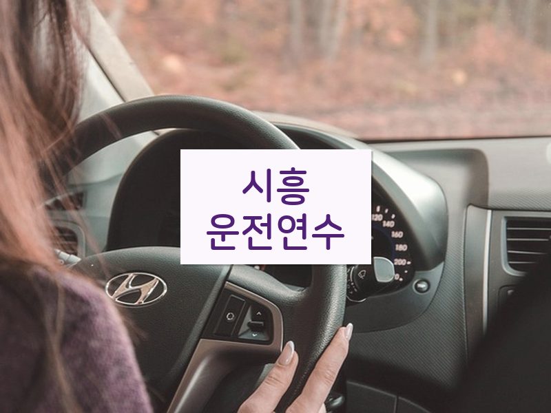 시흥운전연수 후기