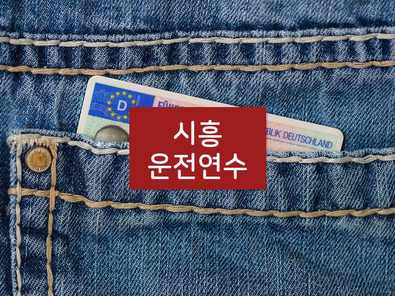 시흥운전연수 후기