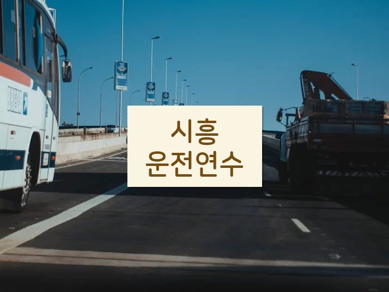 시흥운전연수 후기