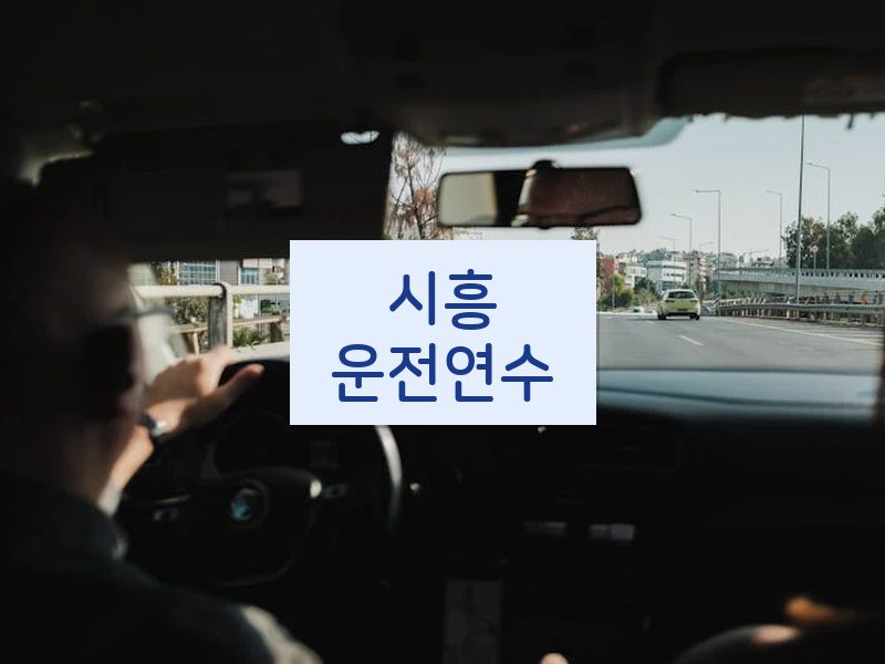 시흥운전연수 후기
