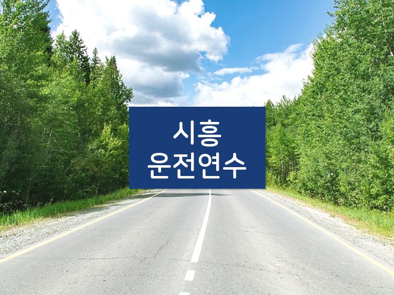 시흥운전연수 후기