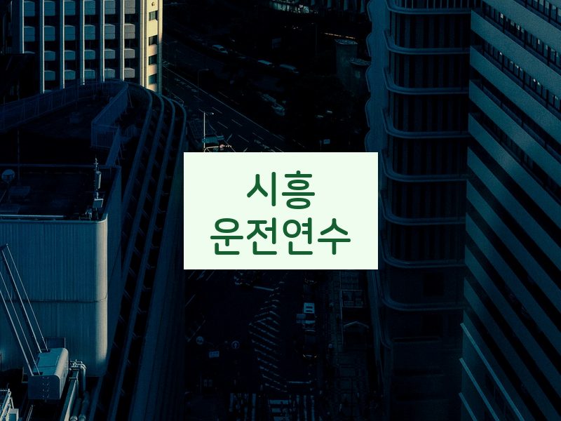 시흥운전연수 후기