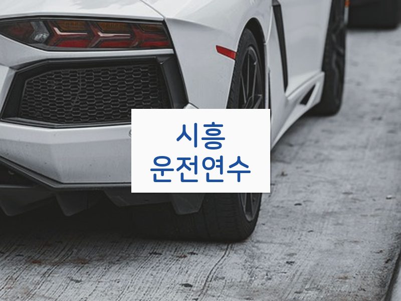 시흥운전연수 후기