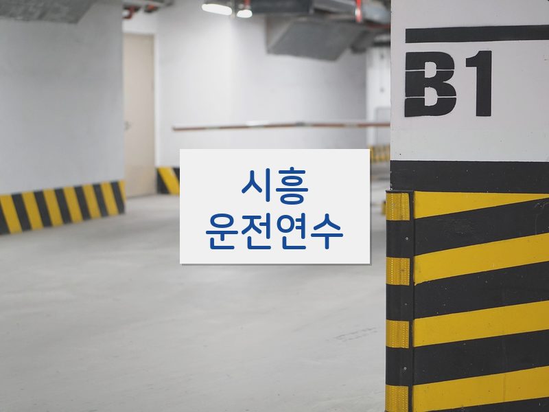 시흥운전연수 후기